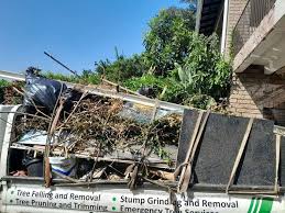Best Shed Removal  in Elko, NV